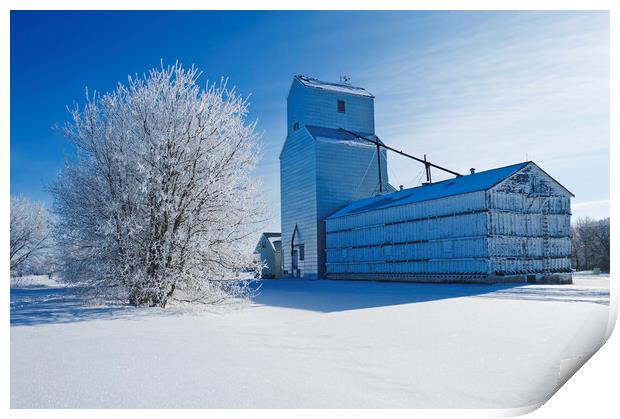 old grain elevator Print by Dave Reede