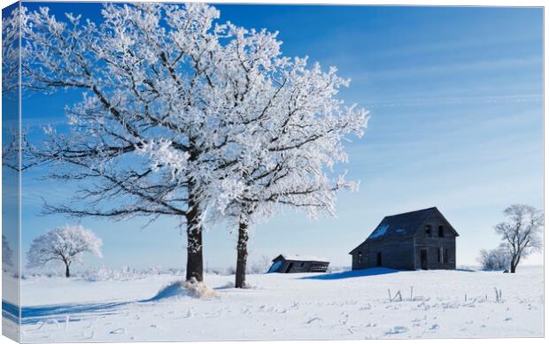 frost covered trees and old farm house Canvas Print by Dave Reede