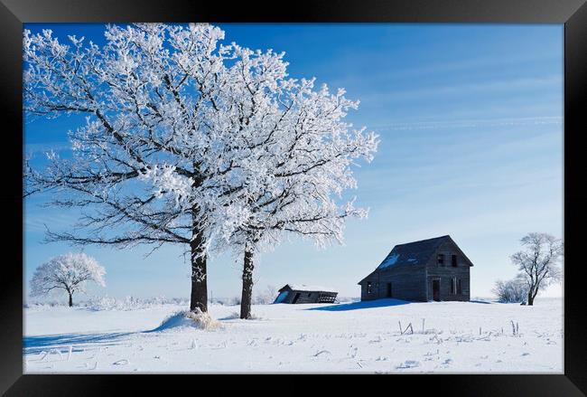 frost covered trees and old farm house Framed Print by Dave Reede