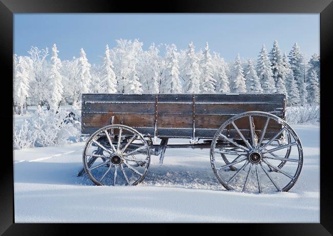 old wagon, hoarfrost on trees Framed Print by Dave Reede