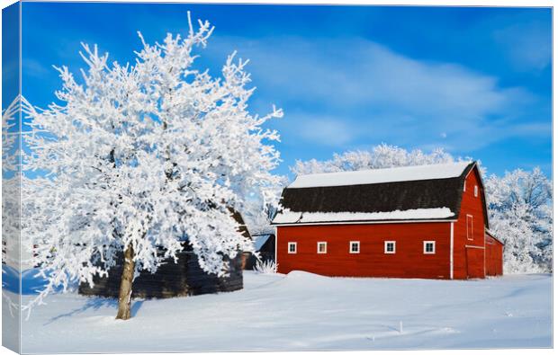 red barn and trees coated with hoarfrost Canvas Print by Dave Reede