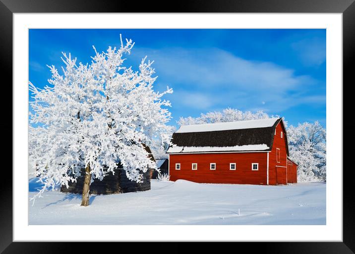 red barn and trees coated with hoarfrost Framed Mounted Print by Dave Reede