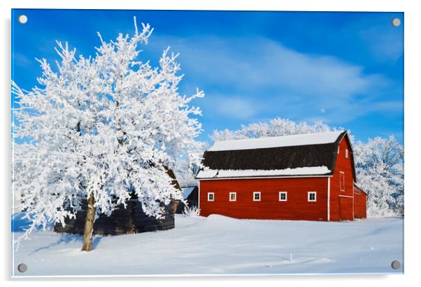 red barn and trees coated with hoarfrost Acrylic by Dave Reede