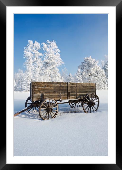 old wagon, hoarfrost on trees Framed Mounted Print by Dave Reede