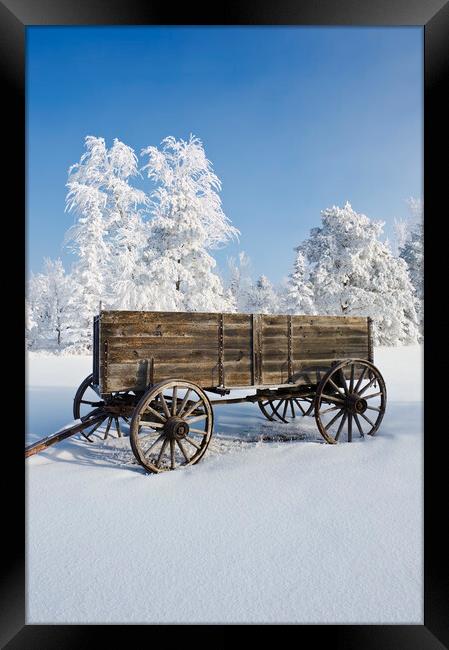 old wagon, hoarfrost on trees Framed Print by Dave Reede