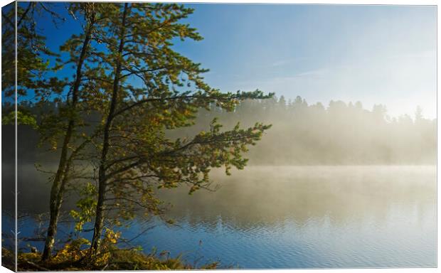 Morning Lake View Canvas Print by Dave Reede