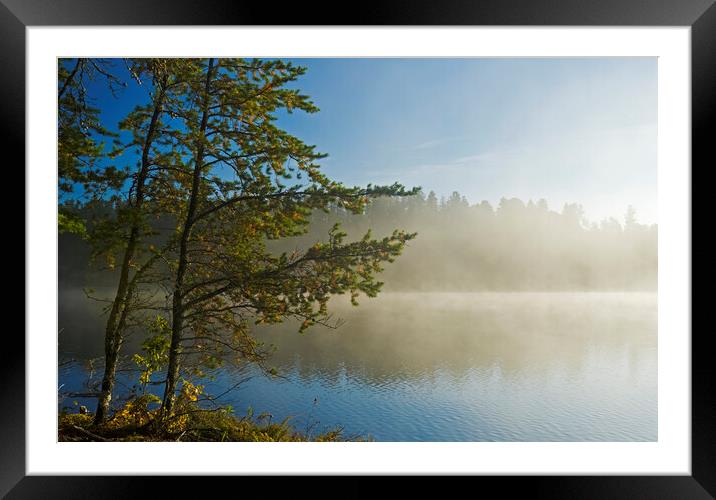 Morning Lake View Framed Mounted Print by Dave Reede