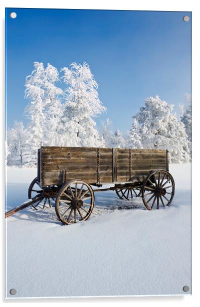 old wagon, hoarfrost on trees Acrylic by Dave Reede