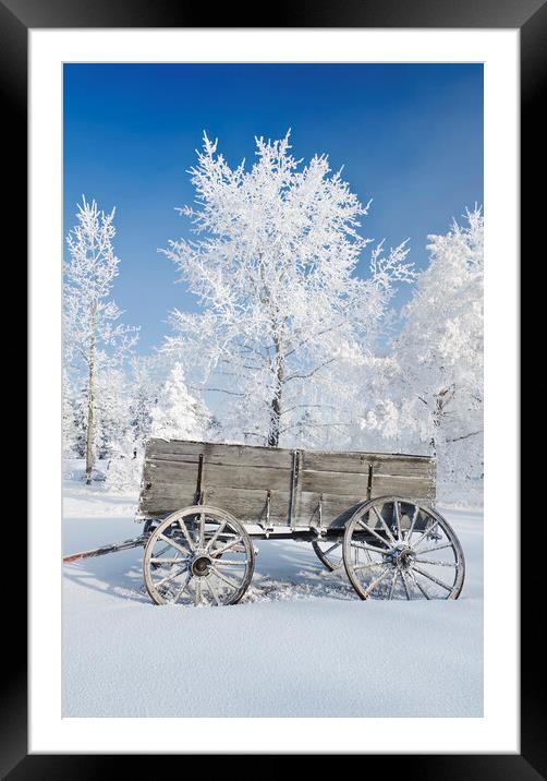 Wagon in the Hoarfrost Framed Mounted Print by Dave Reede