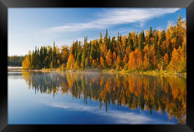 autumn, Dickens Lake Framed Print by Dave Reede