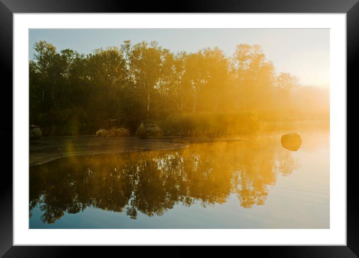 autumn along the Whiteshell River Framed Mounted Print by Dave Reede
