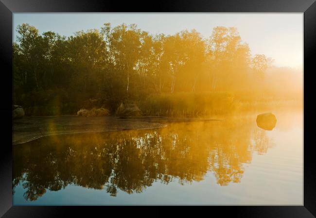 autumn along the Whiteshell River Framed Print by Dave Reede