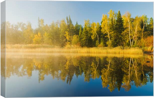 along the Whiteshell River Canvas Print by Dave Reede