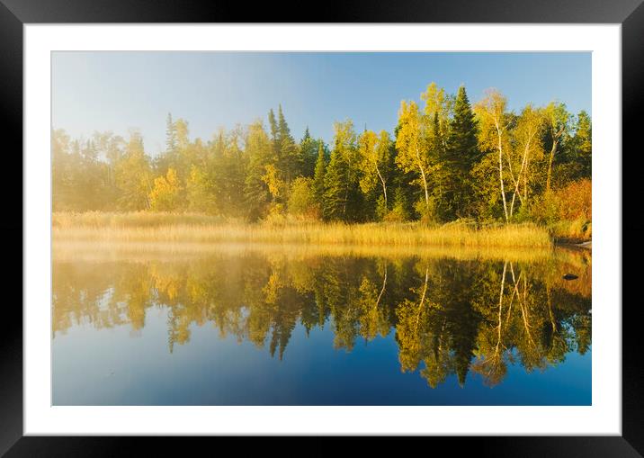 along the Whiteshell River Framed Mounted Print by Dave Reede