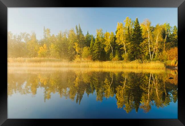 along the Whiteshell River Framed Print by Dave Reede