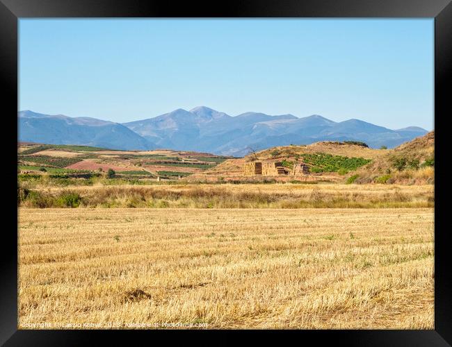 After harvest - Najera Framed Print by Laszlo Konya