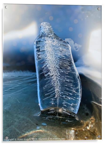 Ice Fan  Acrylic by Steve Grundy