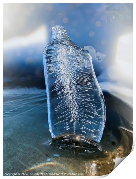 Ice Fan  Print by Steve Grundy