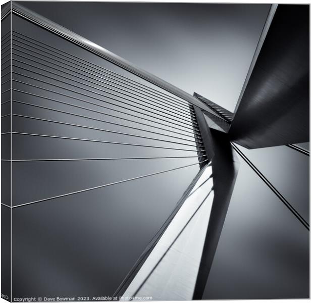 Erasmusbrug Canvas Print by Dave Bowman