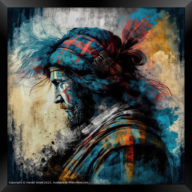 Scottish Warrior Framed Print by Harold Ninek