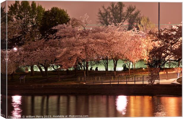 Tidal Basin Cherry Blossoms Washington DC Canvas Print by William Perry