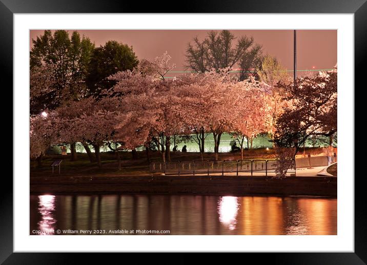 Tidal Basin Cherry Blossoms Washington DC Framed Mounted Print by William Perry