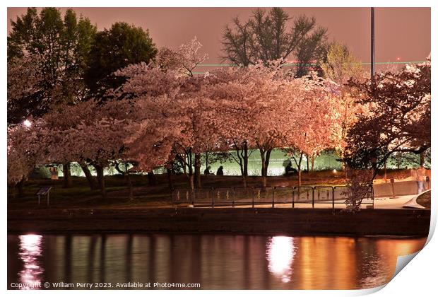 Tidal Basin Cherry Blossoms Washington DC Print by William Perry