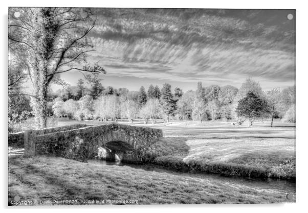 Stone Bridge Dartmoor Infrared Acrylic by David Pyatt