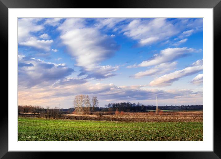 January afternoon in the field Framed Mounted Print by Dejan Travica