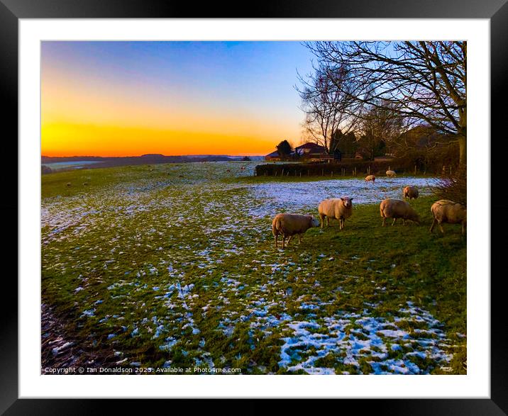 Winter Flock Framed Mounted Print by Ian Donaldson