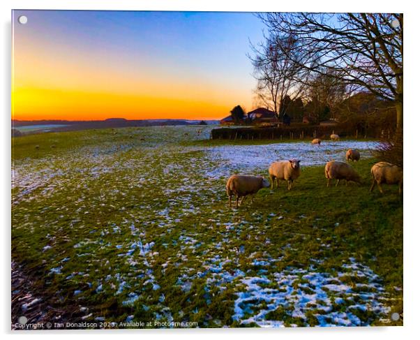 Winter Flock Acrylic by Ian Donaldson