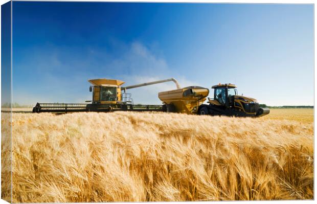 a combine unloads into a grain wagon on the go Canvas Print by Dave Reede