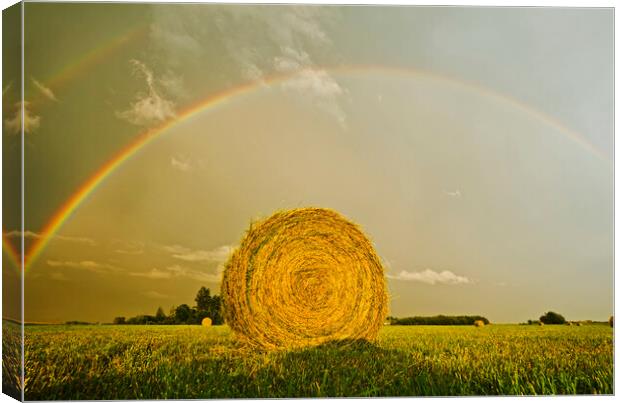 alfalfa field with round bale Canvas Print by Dave Reede
