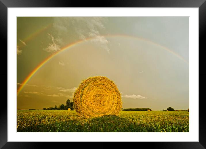 alfalfa field with round bale Framed Mounted Print by Dave Reede
