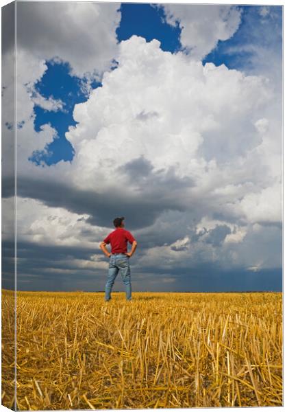 a man looks out over a harvested oat field with a cumulonimbus cloud buildup in the background Canvas Print by Dave Reede