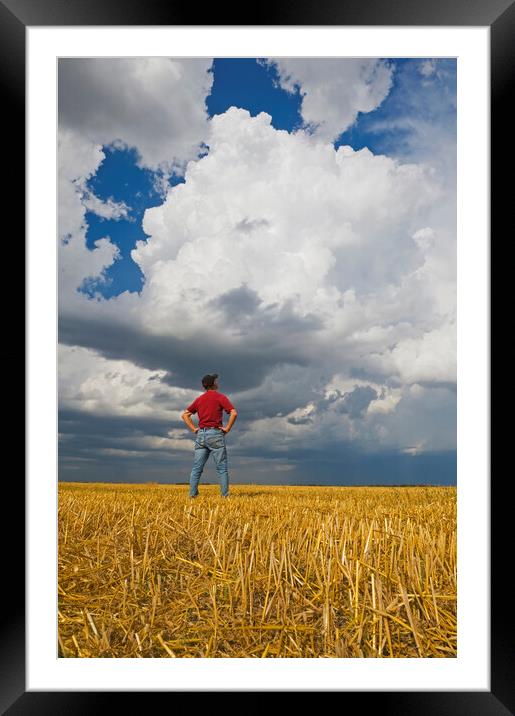 a man looks out over a harvested oat field with a cumulonimbus cloud buildup in the background Framed Mounted Print by Dave Reede