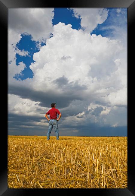 a man looks out over a harvested oat field with a cumulonimbus cloud buildup in the background Framed Print by Dave Reede