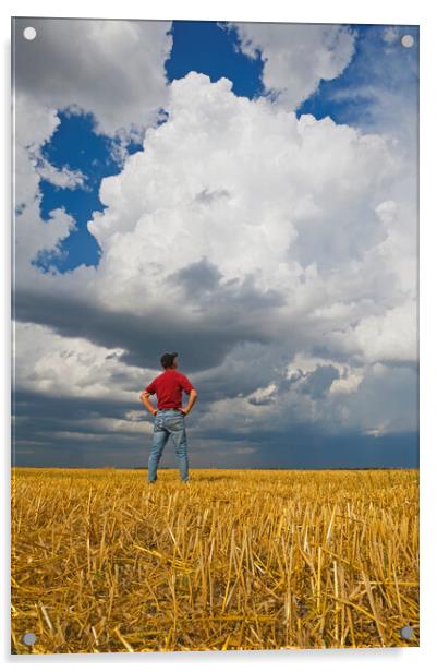 a man looks out over a harvested oat field with a cumulonimbus cloud buildup in the background Acrylic by Dave Reede