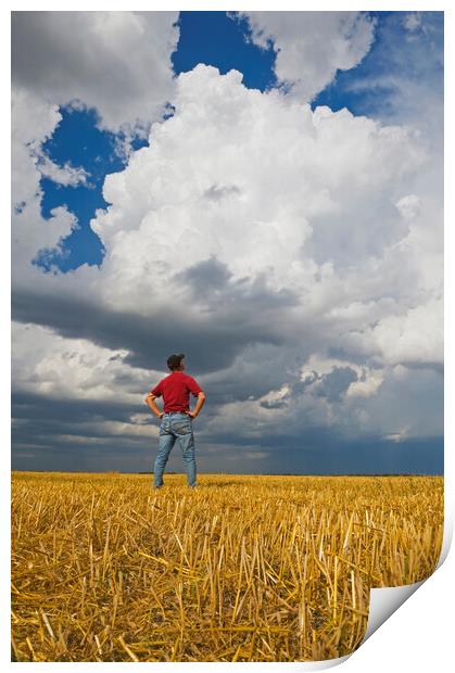 a man looks out over a harvested oat field with a cumulonimbus cloud buildup in the background Print by Dave Reede