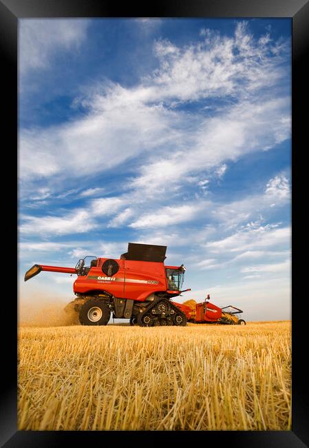 barley harvest Framed Print by Dave Reede