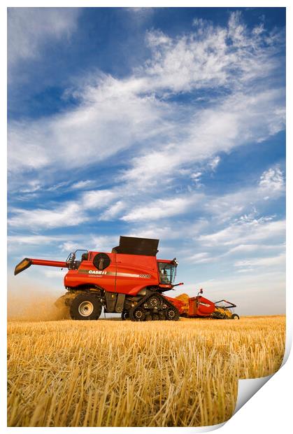 barley harvest Print by Dave Reede