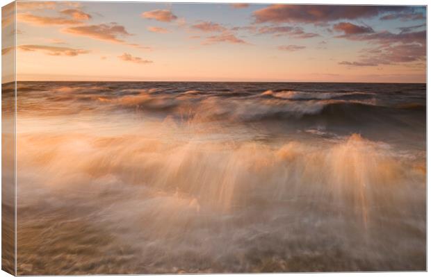 surf during a windy evening Canvas Print by Dave Reede