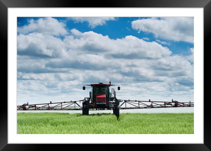 a high clearance sprayer gives a chemical application to wheat Framed Mounted Print by Dave Reede