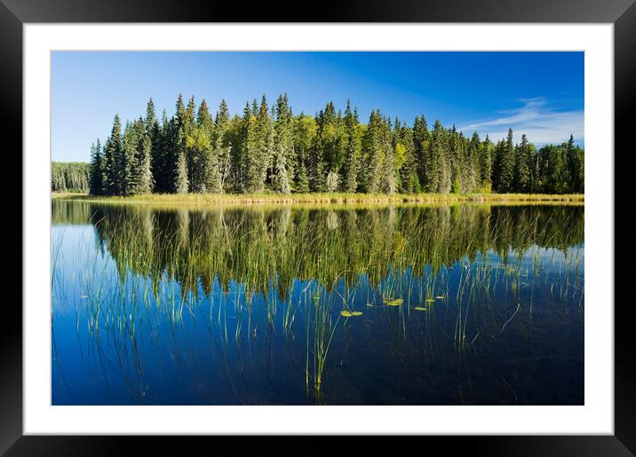 DR_7356 Framed Mounted Print by Dave Reede