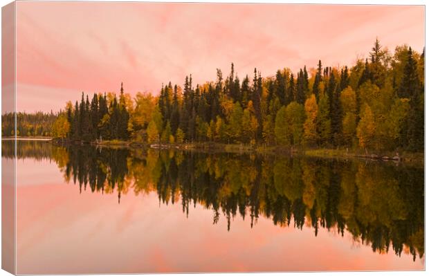 Northern Lake Canvas Print by Dave Reede