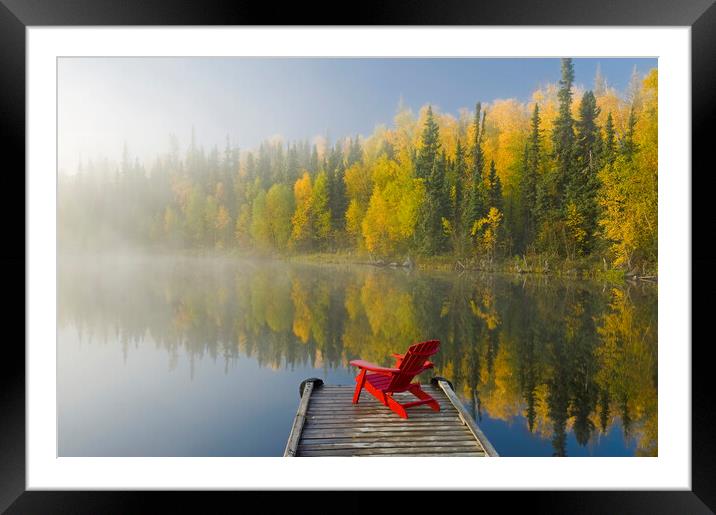 Autumn Framed Mounted Print by Dave Reede