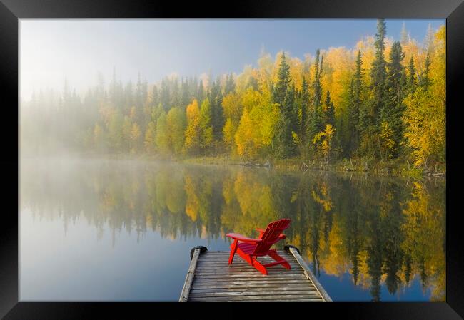 Autumn Framed Print by Dave Reede