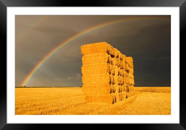 rainbow over wheat straw bales Framed Mounted Print by Dave Reede