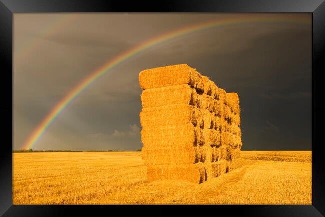 rainbow over wheat straw bales Framed Print by Dave Reede