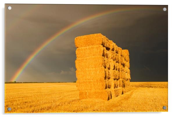 rainbow over wheat straw bales Acrylic by Dave Reede